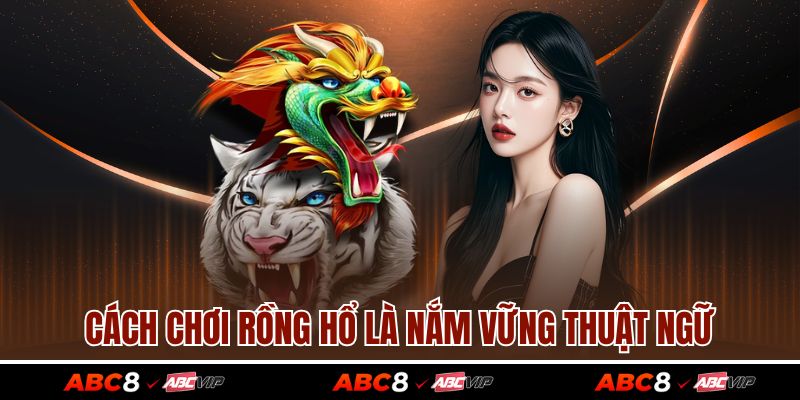 Cách chơi rồng hổ là nắm vững thuật ngữ