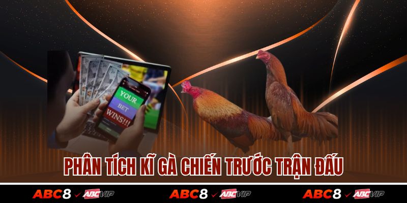 Phân tích kĩ gà chiến trước trận đấu
